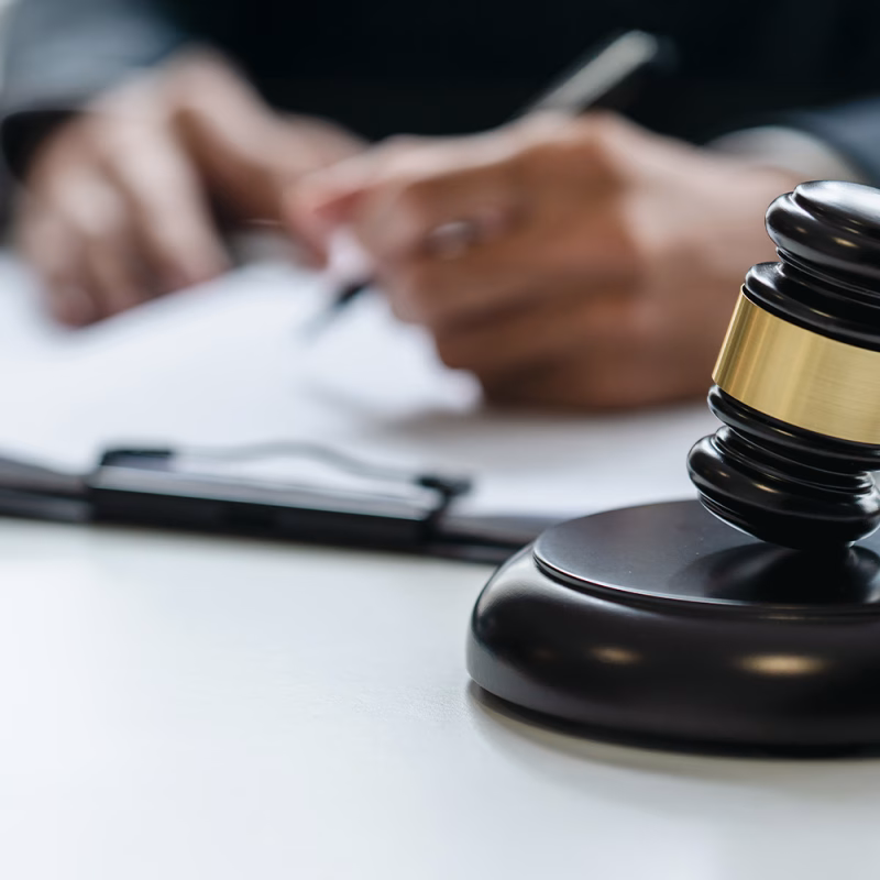 news 8 csta modello 231